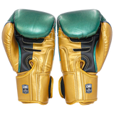 Boxing Gloves Danger EVO 3  Semi Leather WBC