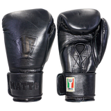 Boxing Gloves Velcro Matto Embriodry Black